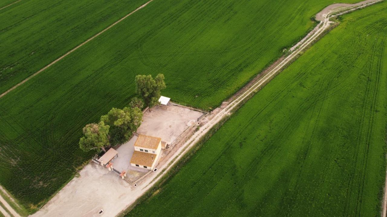 Lo Maset De Laura Villa Amposta Bagian luar foto